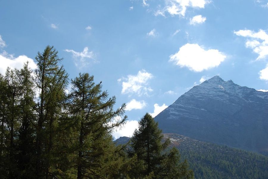 ferienwohnungen swiss chalet saas fee aussicht